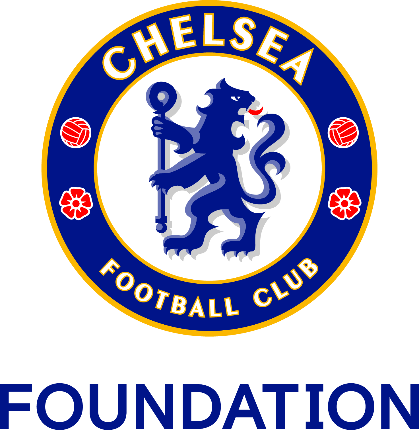 Chelsea Foundation - Crystal palace